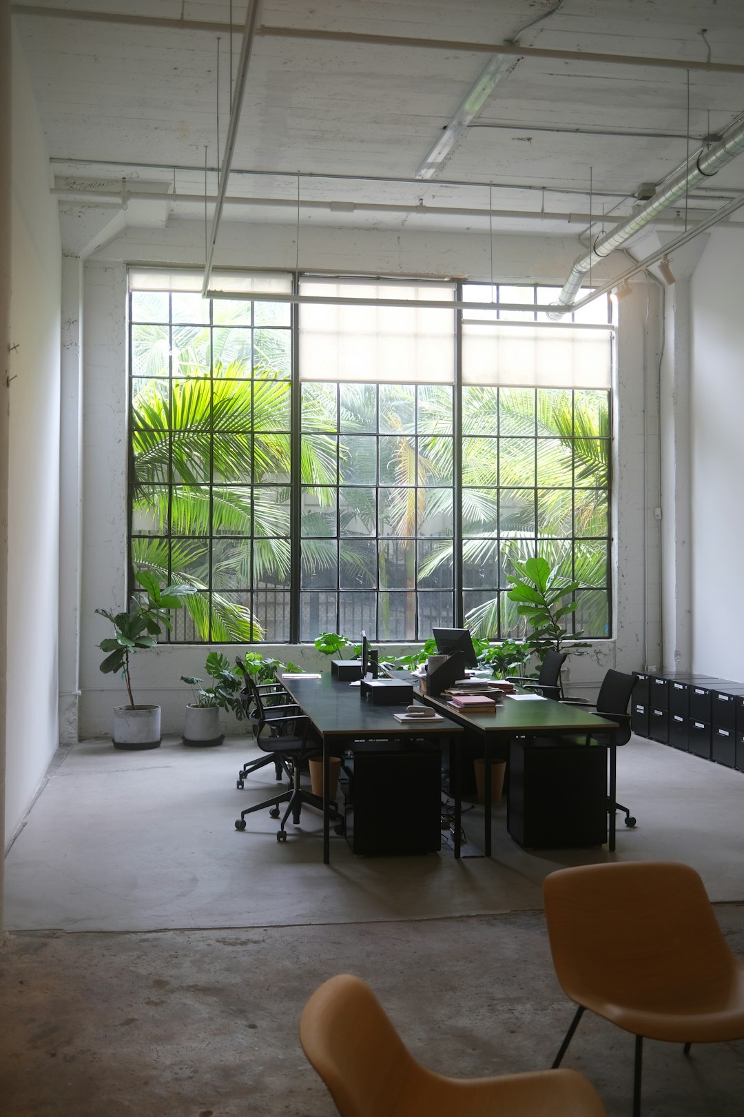 Modern minimalist office interior with plants